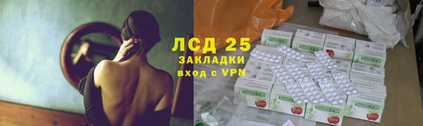 спиды Аркадак