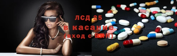 спиды Аркадак