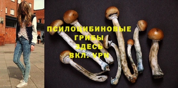 спиды Аркадак