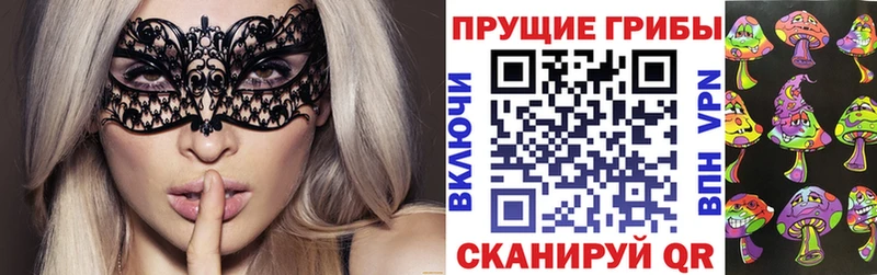 сколько стоит  Тырныауз  Галлюциногенные грибы Psilocybine cubensis 